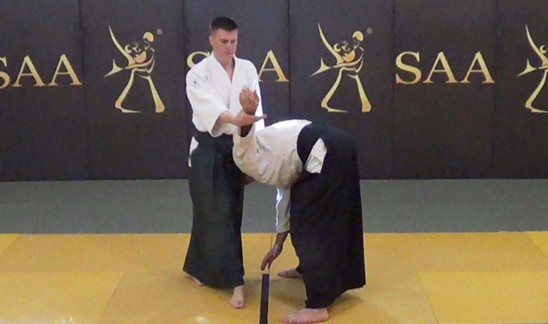 SAA Edward Suomin Aikido Kaiten Nage Temporal Control